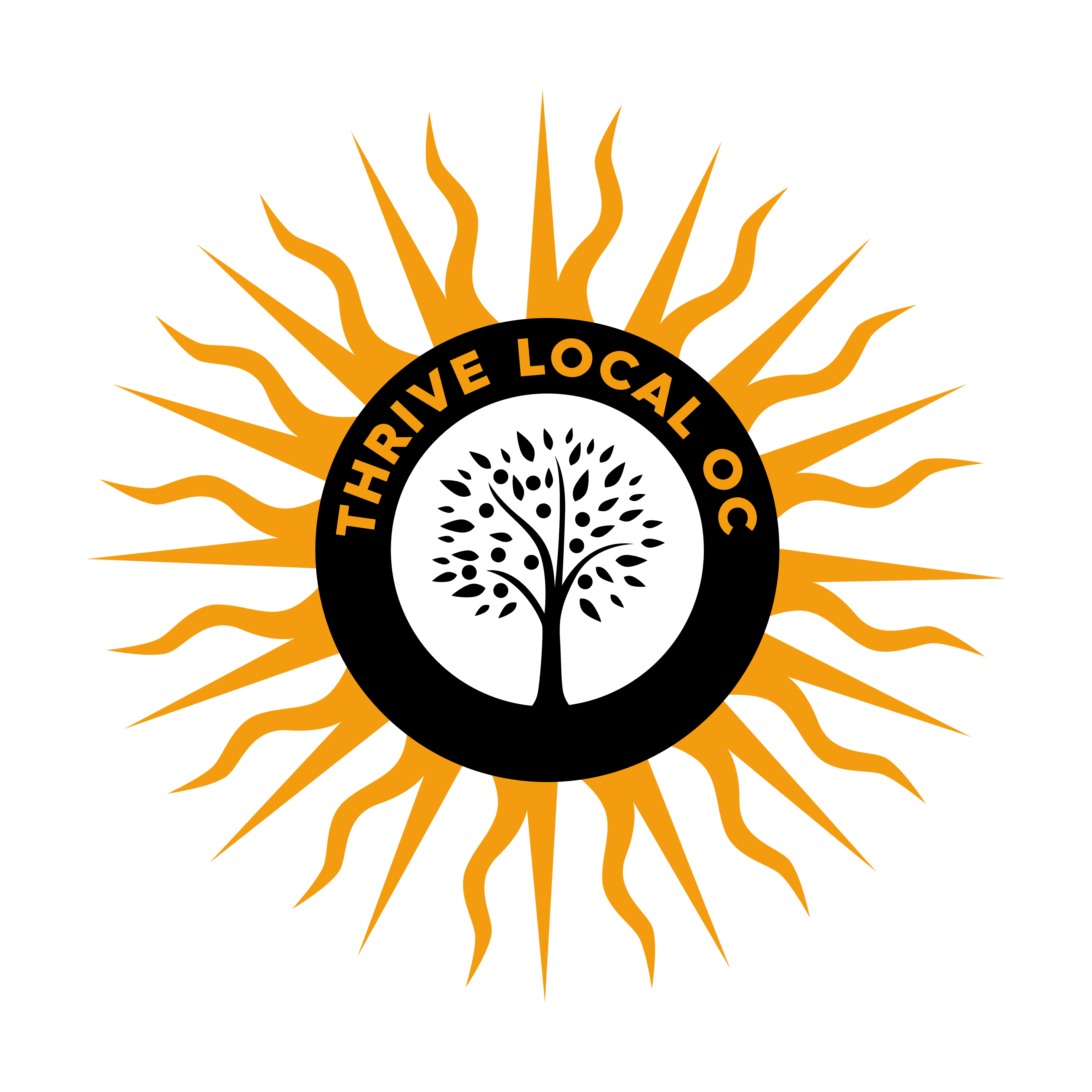 Image of Laguna Niguel Spotlight Videos Image of Laguna Niguel Spotlight Videos